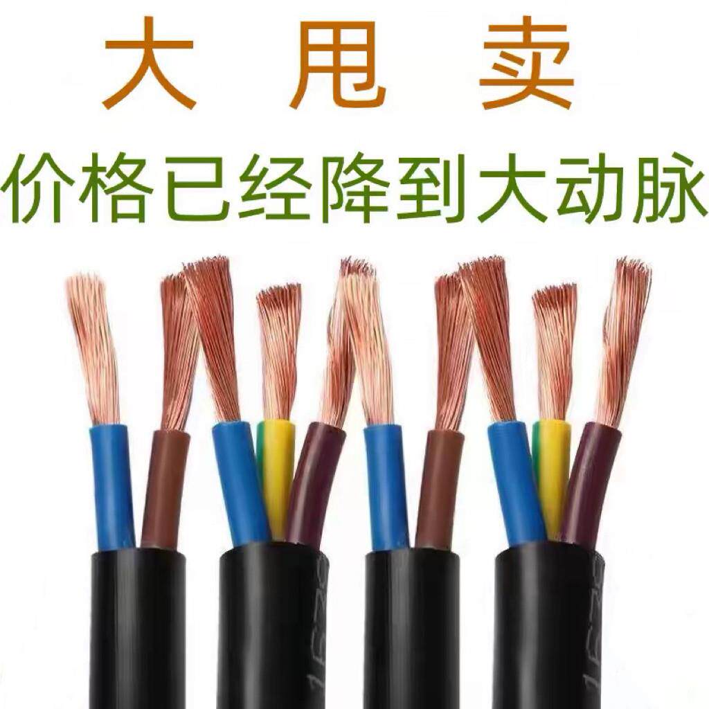 国标电缆线2芯护套线2.5/4/6/10平方户外电动车充电线3芯电源线