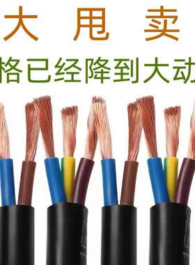 珠江国标电缆线2芯护套2.5/4/6/10平方电动车充电线3芯电源线