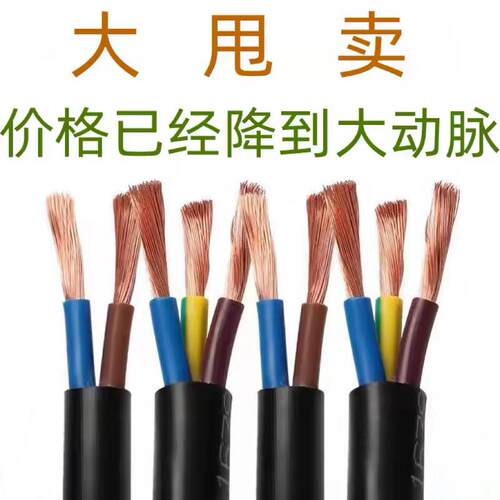 国标电缆线2芯护套线2.5/4/6/10平方户外电动车充电线3芯电源线