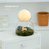 观月许愿瓶微景观草坪盆栽办公室内桌面好养创意礼品微缩摆件绿植