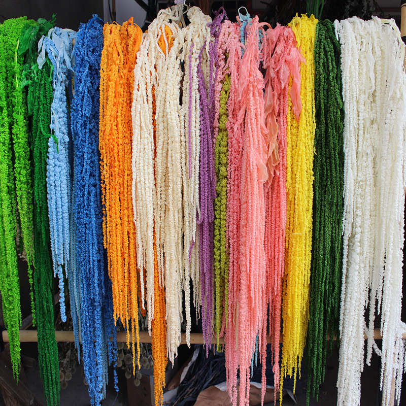 吊米永生花干花批发柔丽丝情人泪长穗花花艺软装酒店婚庆装饰花材