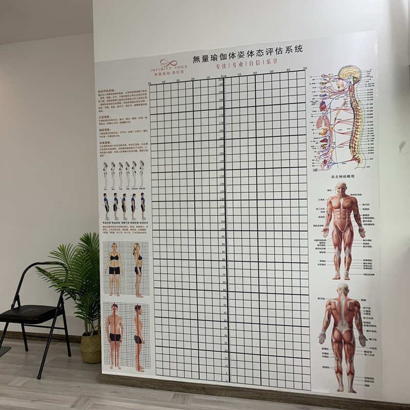 7YX表私教壁纸体态瑜伽姿势身体健身表体态墙纸图评估人体测评估