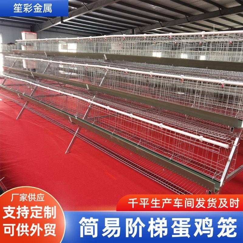 热镀锌3层叠式阶梯式5门蛋鸡笼子家禽养殖场双边食槽蛋鸡笼设备