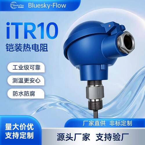 iTR10铠装热电阻PT100温度传感器工业测温探头定制