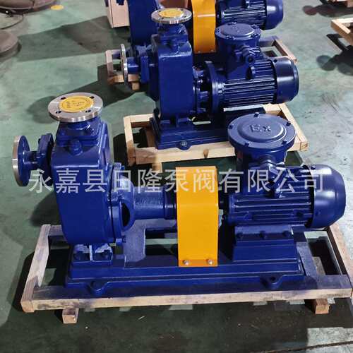 ZX自吸式清水离心泵 自吸式清水泵 不锈钢自吸清水泵