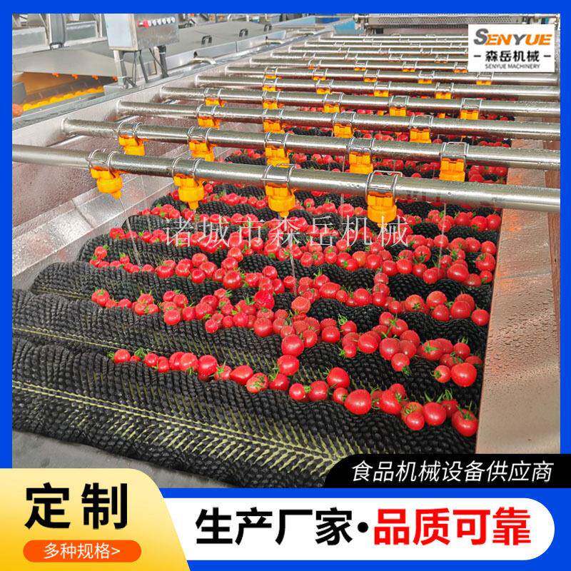 西梅橄榄果气泡洗果机水果果脯毛刷清洗机304不锈钢诸城工厂直供