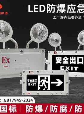 新国标新标准GB17945-2024LED防爆双头应急灯标志安全出口指示灯