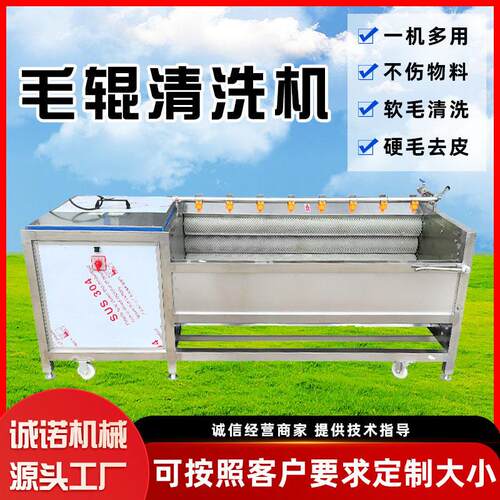 花生毛辊清洗机不锈钢芋头U型毛刷清洗机洋葱去皮机草鱼去鳞设备