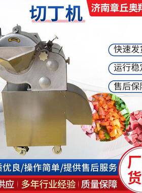 商用多功能切菜机家用小型食堂餐厅用切粒丁一体机果蔬肉粒切丁机