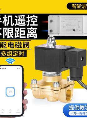 WIFI电磁阀水阀ac220V智能开关无线手机远程遥控智能自动水管浇水