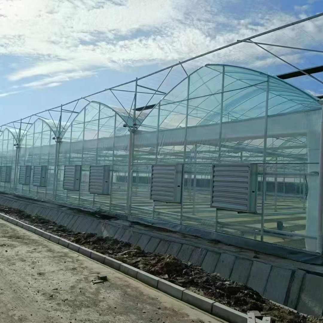 连栋薄膜温室大棚 外遮阳内保温农业大棚现货园林花卉草莓连栋大