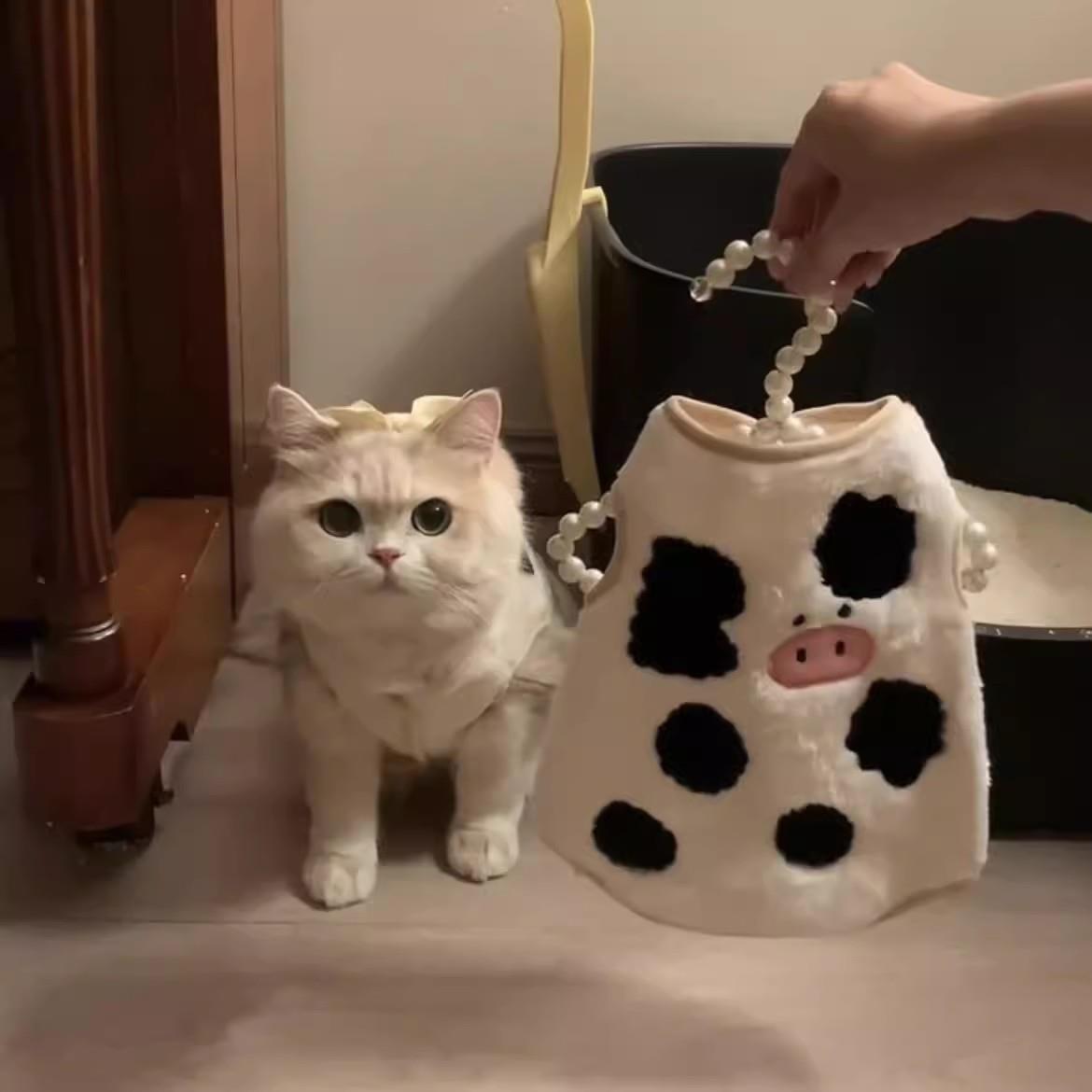 可爱猫咪衣服秋冬款防掉毛布偶猫银渐层蓝猫幼猫宠物保暖加绒背心
