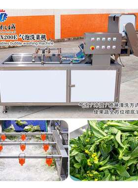 全自动不锈钢气泡清洗设备多功能果蔬喷淋式清洗机气泡洗菜机