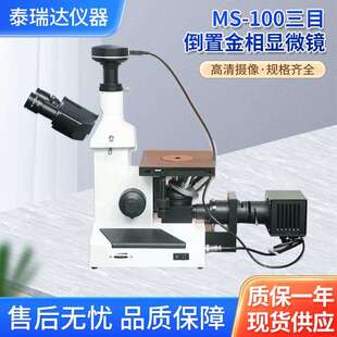 三目倒置金相显微镜MS-100高清正倒置三目便携视一体机观测显微镜