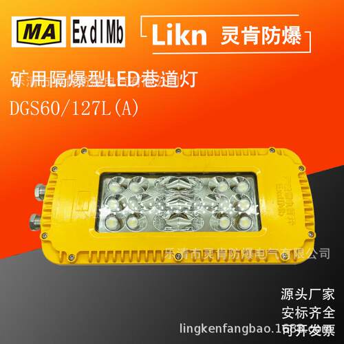 矿用隔爆型巷道灯大功率矿灯DGS60/127L(A)井下防爆型LED照明灯
