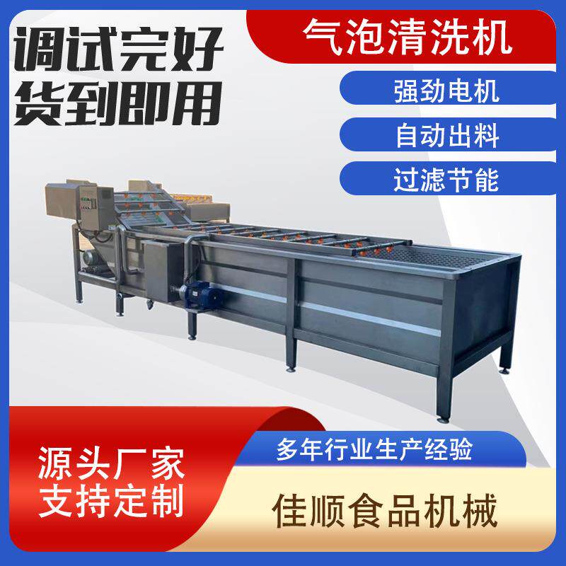 全自动樱桃气泡清洗机 大产量李子鼓泡清洗机 不锈钢甜瓜清洗机