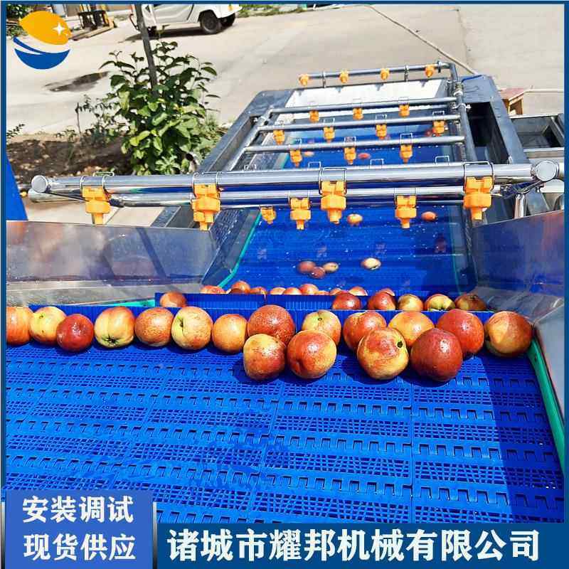 无花果清洗机连续网带传送冬枣洗设备 大型6000泡沫式动 全自清洗,机械设备,其他机械设备,淘宝优惠券,粉丝福利购,淘宝优惠卷