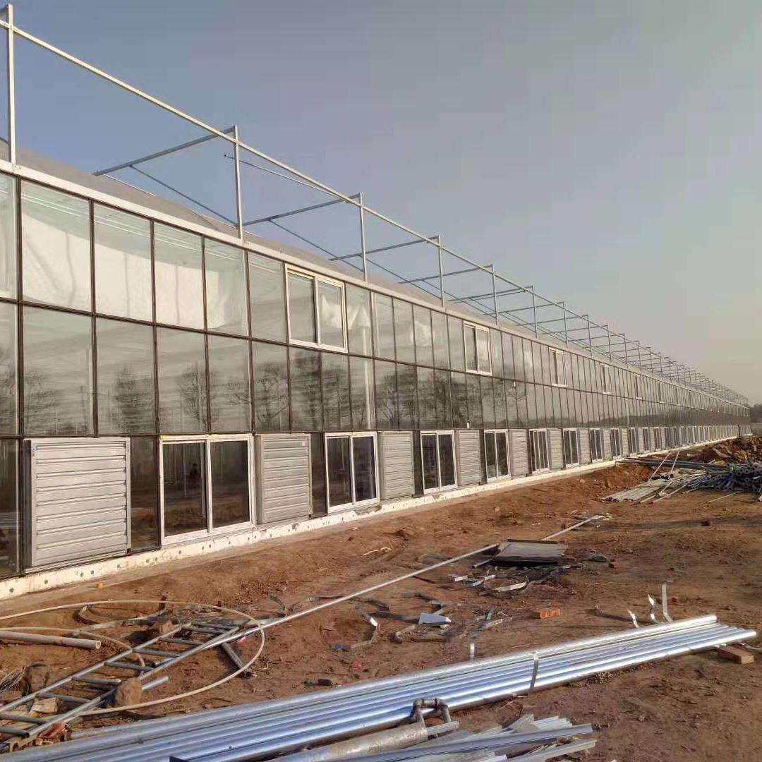 通风降温设备 畜牧养殖大棚负压风机 大风量重锤式负压风机