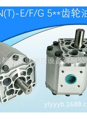 CBN齿轮油泵CBCBTT-E520 E25 E532 5EF540 E5550 E563 E80-BHL BF