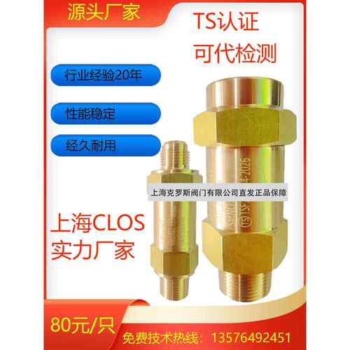 冷冻机组安全阀SFA-22C300T14工业中央空调泄压阀T10冷凝蒸发器T1