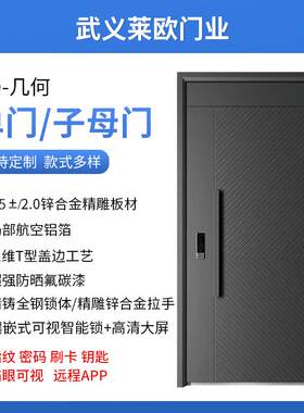 精雕铸铝门甲级防盗门钢质门入户门10公分甲级门高端进户门明铰链