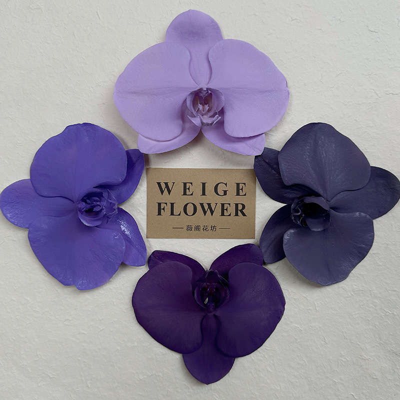 薇阁花坊鲜花专用喷漆网红花店材料碎冰蓝干花染色炫彩着色剂