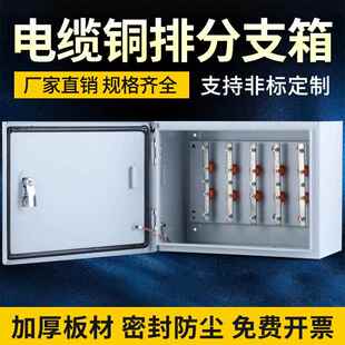 电缆分支箱铜牌T接箱分流箱配电箱矿物质转换端子绝缘箱接线箱