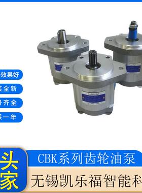 长江系列齿轮油泵CBK1020-B3FR采煤机油泵厂家调高泵
