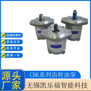 长江系列齿轮油泵CBK1020 B3FR采煤机油泵厂家调高泵