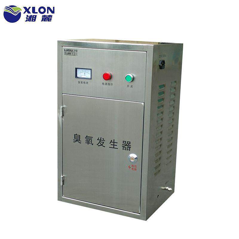 厂家直销湖南臭氧发生器中小型臭氧灭菌器20G水处理臭氧发生器
