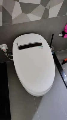 易臣家用智能即热式遥控翻盖坐便器怎么样？不要单看众测表面？