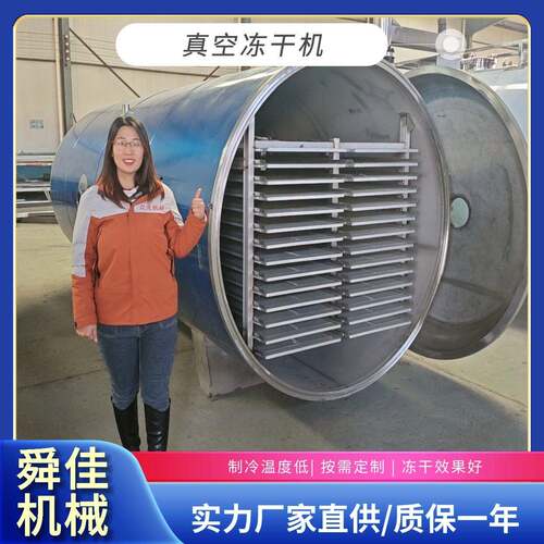 多春鱼籽真空冻干机果蔬脆低温冷冻干燥机人参真空冷冻干燥机