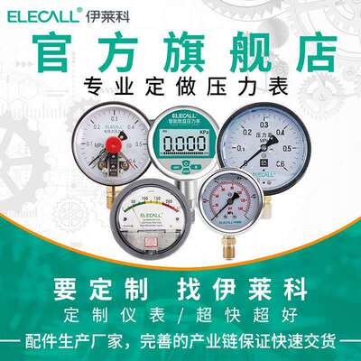 伊莱科（ELECALL）不锈钢耐震压力表充油水表YTN-100BF/YN100BF