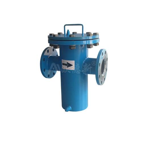 篮式过滤器直通快开DN100不锈钢平口工业法兰SBL毛发蓝式过滤器