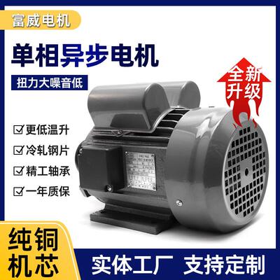 YL802-4单相国标双电容电机750W卧式电动机皮带轮软冰机用电机