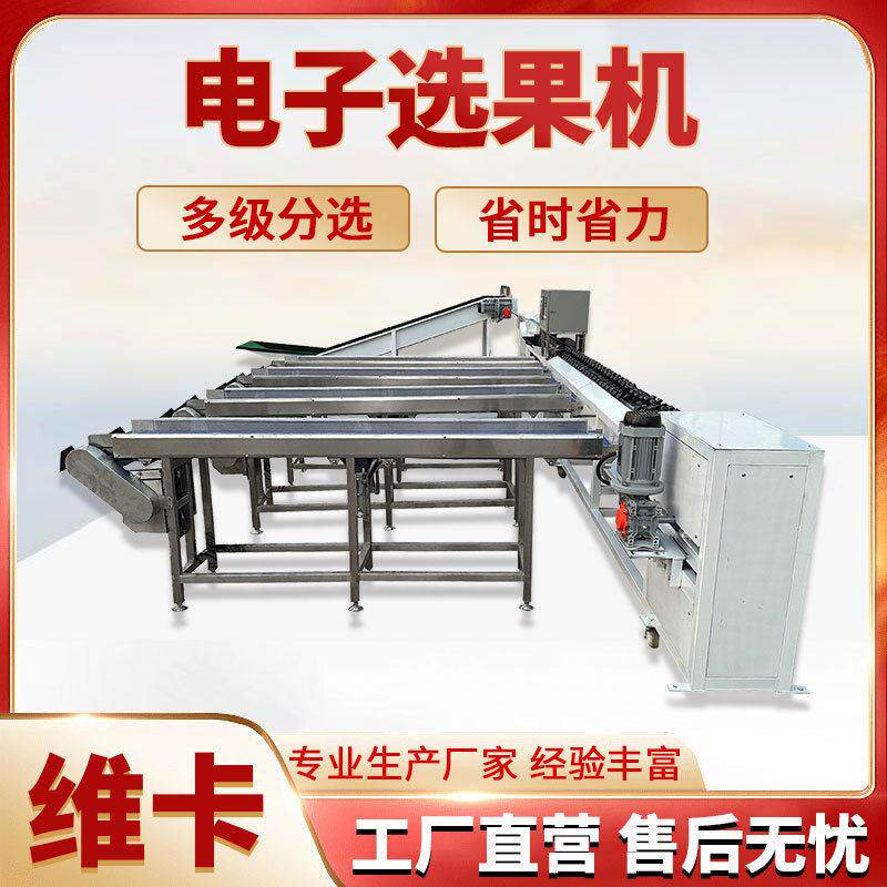 脐橙精度重量分选机橙子西红柿水果无损分级机厂家