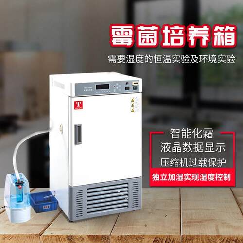 霉菌培养箱 150BIII 天津泰斯特 MJX-250BIII 仪锐 正品 生产厂家