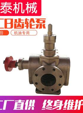 ycb圆弧齿轮泵YCB不锈钢润滑油泵酸性液体输送齿轮泵洗衣液泵