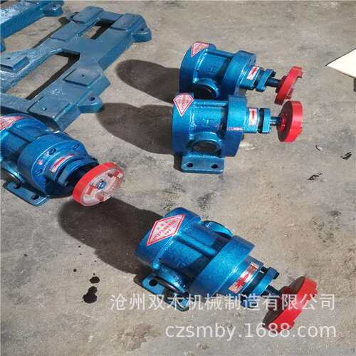 厂家供应不锈钢2CY系列齿轮油泵过滤机小型电动齿轮泵