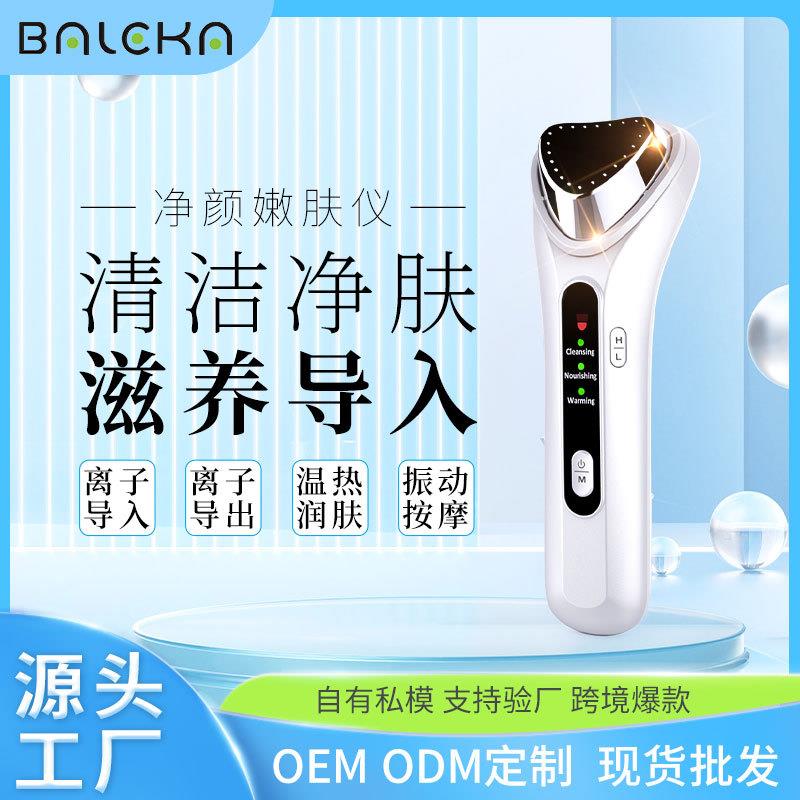 离子导入仪 脸部按摩嫩肤美容仪 加热振动美容导入仪器外贸