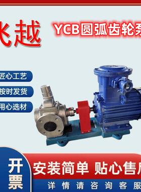 化工齿轮泵ycb10不锈钢圆弧泵现货销售润滑油菜籽油低温油炸泵