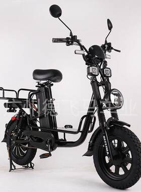 16寸electric bike全季/冬季外卖专用电动车长跑王快递电动自行车