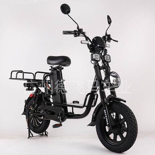 16寸electric bike全季/冬季外卖专用电动车长跑王快递电动自行车