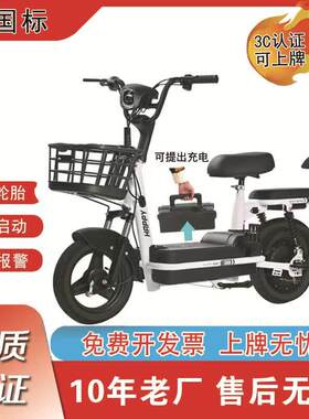 元宇宙电动车女生小型电瓶车新国标电动自行车成人男女士代步车