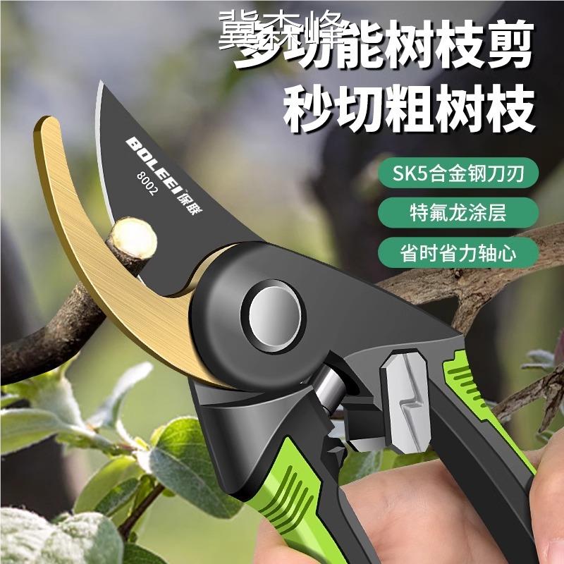 劲秀修枝剪园艺剪剪树枝果树专用剪刀修枝花卉果木葡萄剪子工具