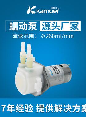 卡默尔耐腐蚀蠕动泵12v抽水泵自吸泵循环电动小泵稳定可靠24v水泵