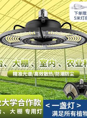 仿阳光防徒长折叠室内多肉上色兰花蔬菜花卉led全光谱植物补光灯