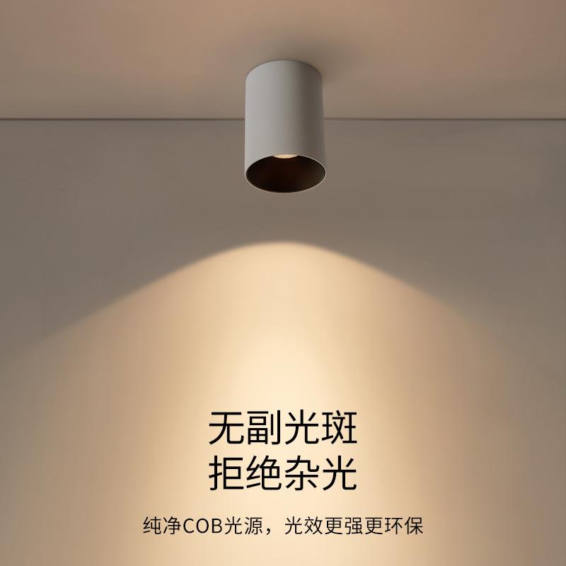 明装筒射灯全光谱护眼斗胆灯客厅卧室餐厅天花灯过道灯防眩无主灯