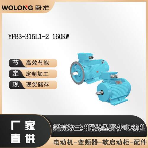 YFB3-315L1-2160W三相异步粉尘防爆电动机三级能效防爆电机