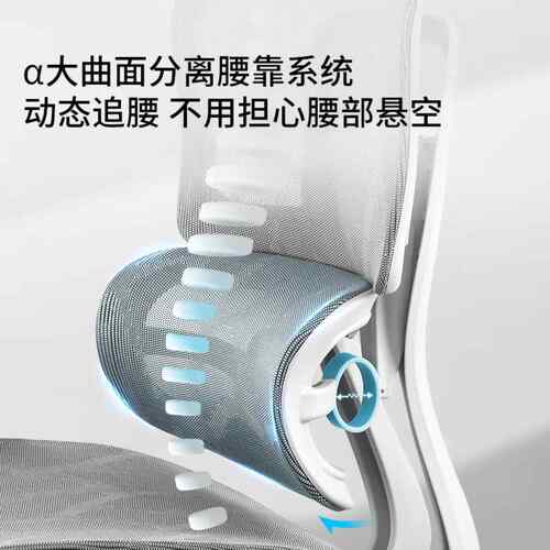 人体工程椅学家椅用电竞椅179人体工学坐不累护腰办公电脑久椅